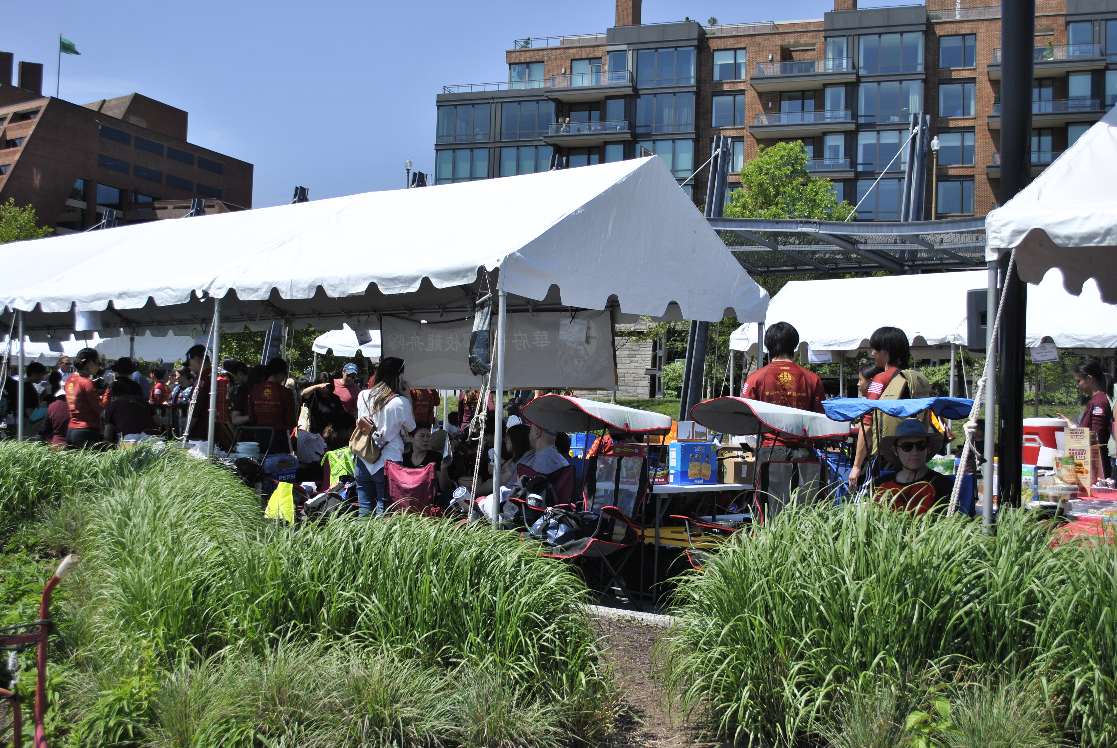 DC Dragon Boat Festival at Georgetown Waterfront Park